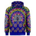 Vivid View1