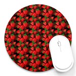 Sweet Strawberries Front